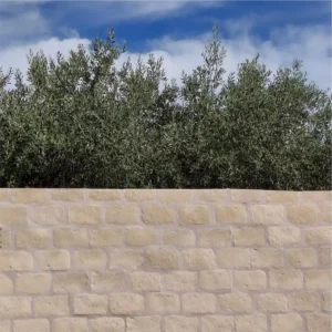 Parement de façade modèle Castillon, teinte pierre, mur extérieur, finition élégante et naturelle.