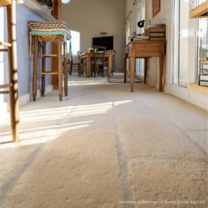 Décoration de séjour rustique en Camargue avec le sol modèle Bourgeoise, ambiance chaleureuse et authentique.