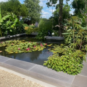 Bassin entouré de végétation naturelle dans un jardin luxuriant avec margelles en U Grésé Rouvière Collection, béton décoratif moderne et durable pour aménagements extérieurs